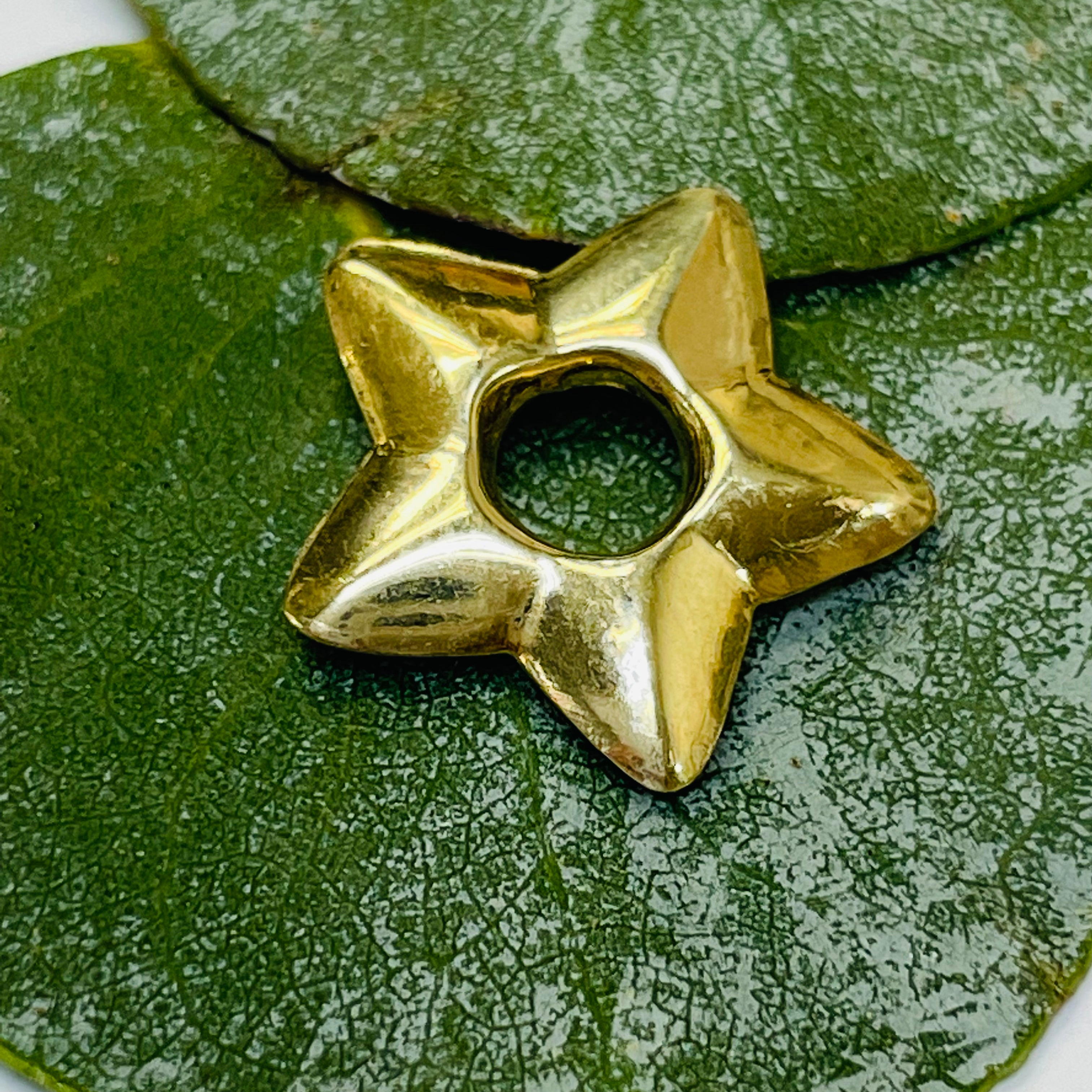 Single Star Earring Charm in 10K Yellow Gold