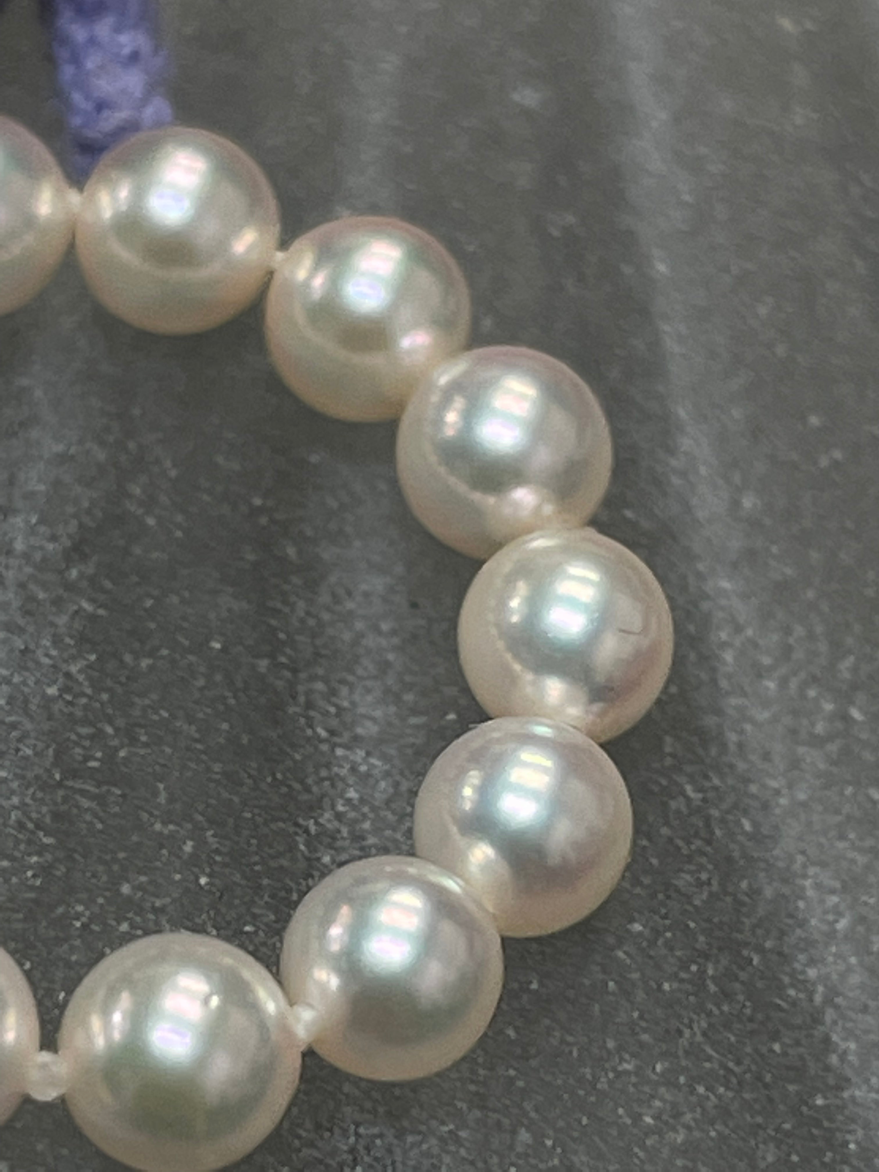 4mm Akoya Pearl Eternity Ring