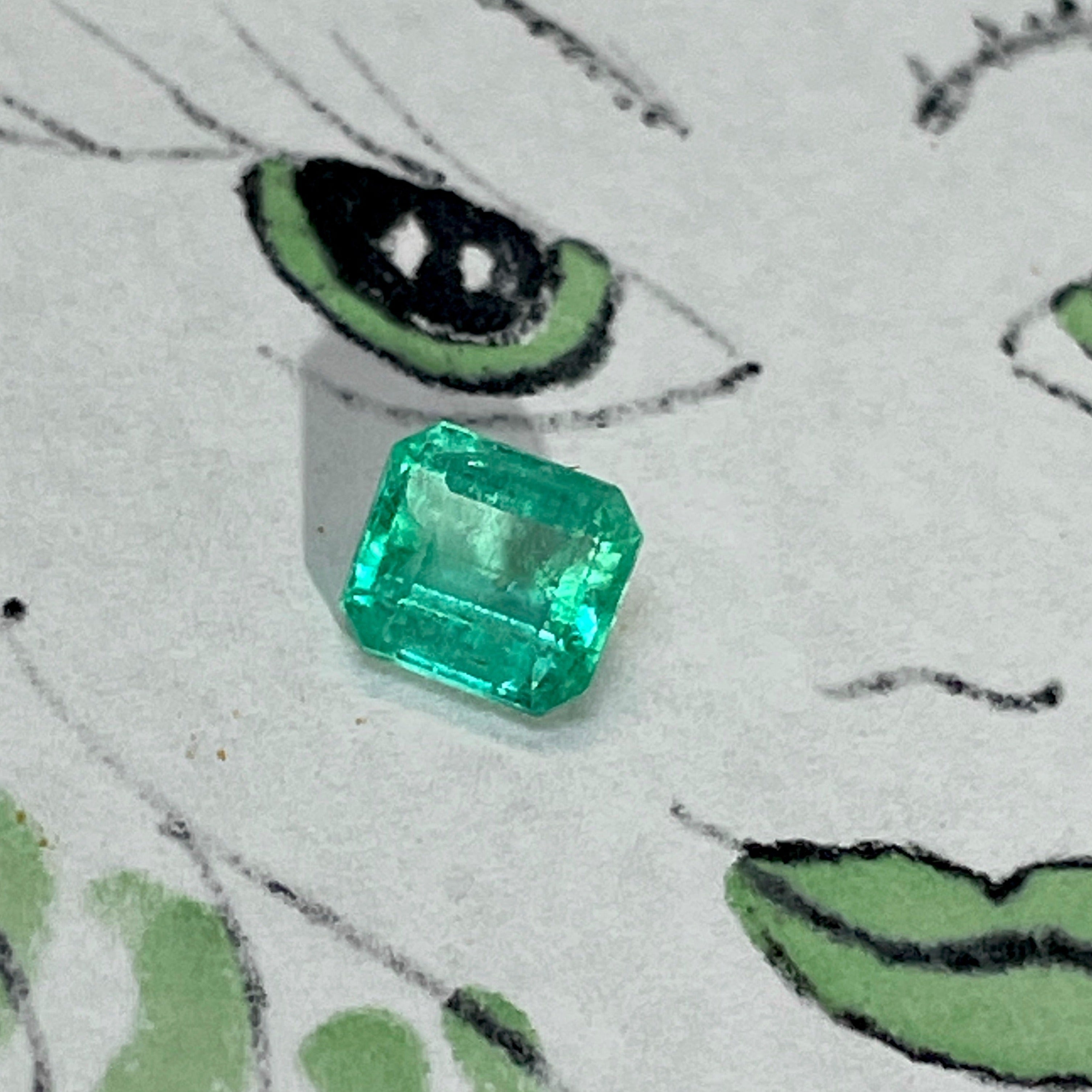 1.22CT Colombian Emerald Loose Emerald Cut 6.5x6mm