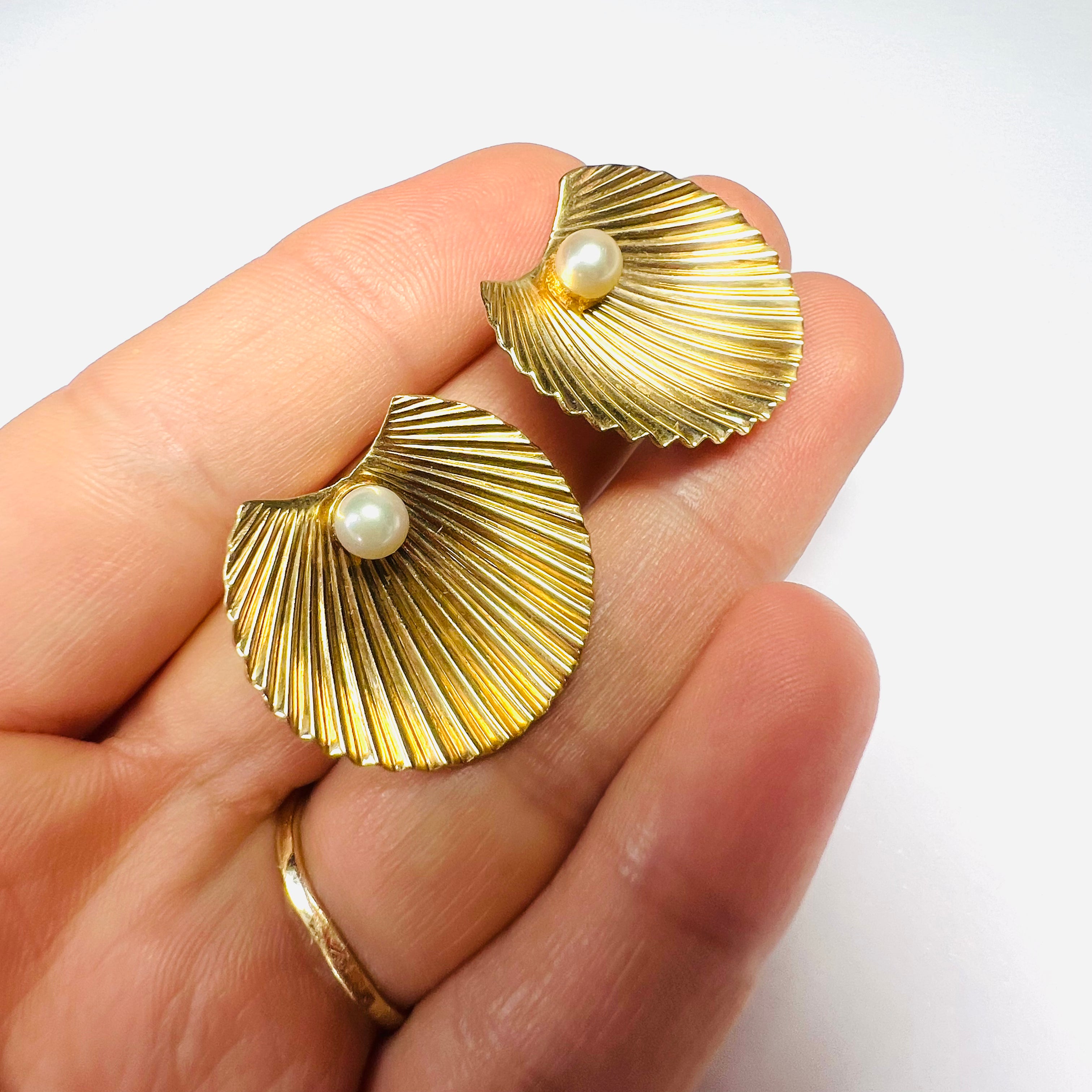 Solid 14K Yellow Gold Sea Shell Pearl Omega Back Earrings